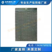 直徑陰極保護(hù)用鈦陽極 釕銥電極 鉑電極
